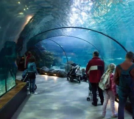 アパート Dinbnb L 50m To Bryggen L Multiple Apts L Balcony L View L Fireplace