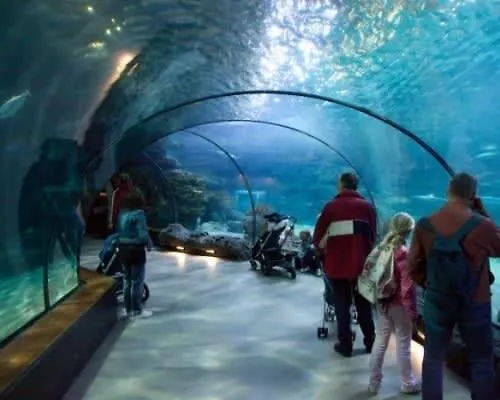 公寓 Dinbnb L 50m To Bryggen L Multiple Apts L Balcony L View L Fireplace